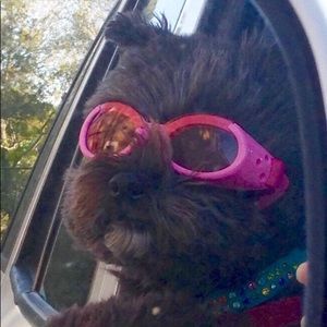 Meet your Posher, Paula